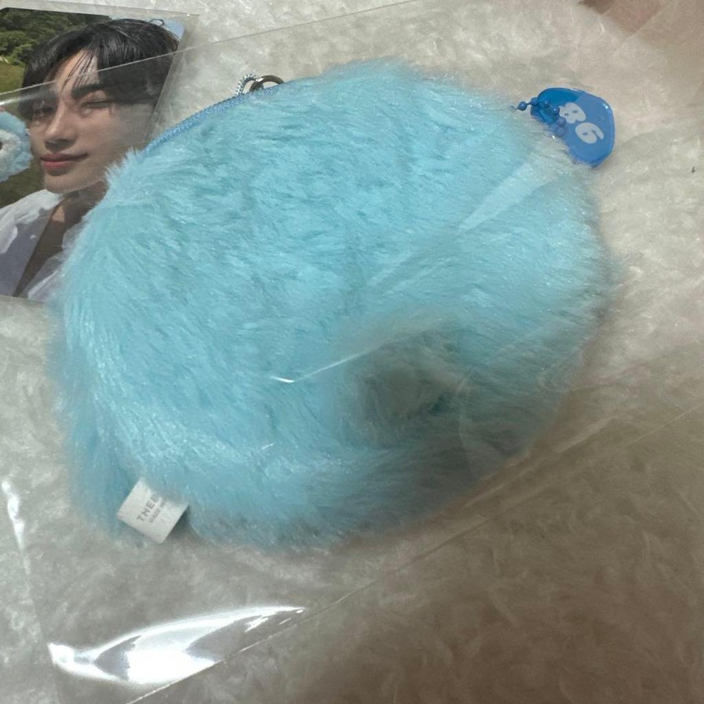 [USED] THE BOYZ New Seoul Concert Pouch Trading Card Penguin