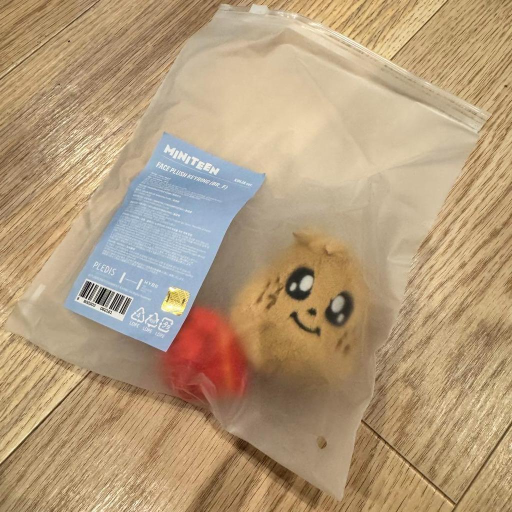 [USED] Pop-up SEVENTEEN MINITEEN Key Ring Mingyu