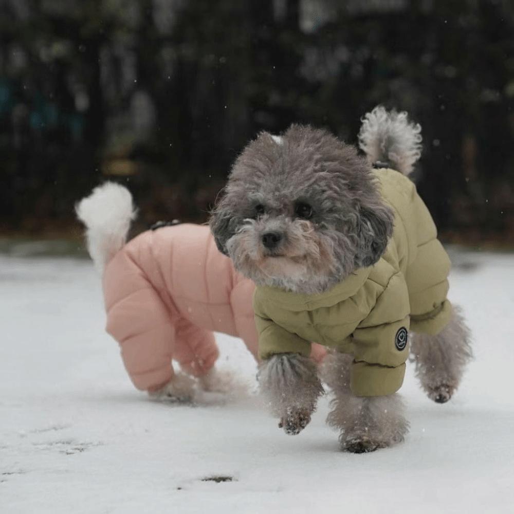 Verdickte Thermowatte Hund Winterkleidung Dicke Daunenbaumwolle Hund Overall Kälteschutz