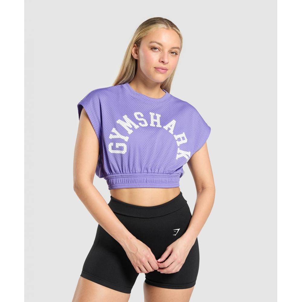 

Gymshark Сетчатый графический укороченный топ Record Purple B4b1l Pb56 XS