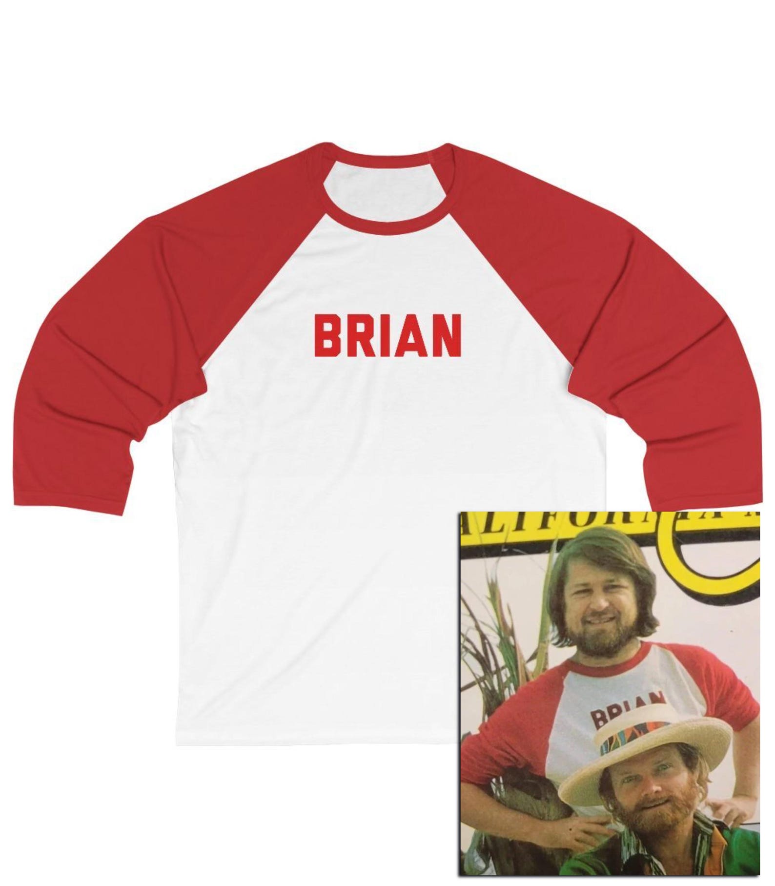 Brian T-Shirt, Classic Rock Inspired, Classic Rock Tee, Surfer Girl, Gift For Brian, Surf Music, Beach Music T-Shirt, Yacht Rock Tee, 70s T L