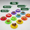 Pack of 12 Small Invertebrate Feeding Bowls Cockroach Food Bowls YYH69