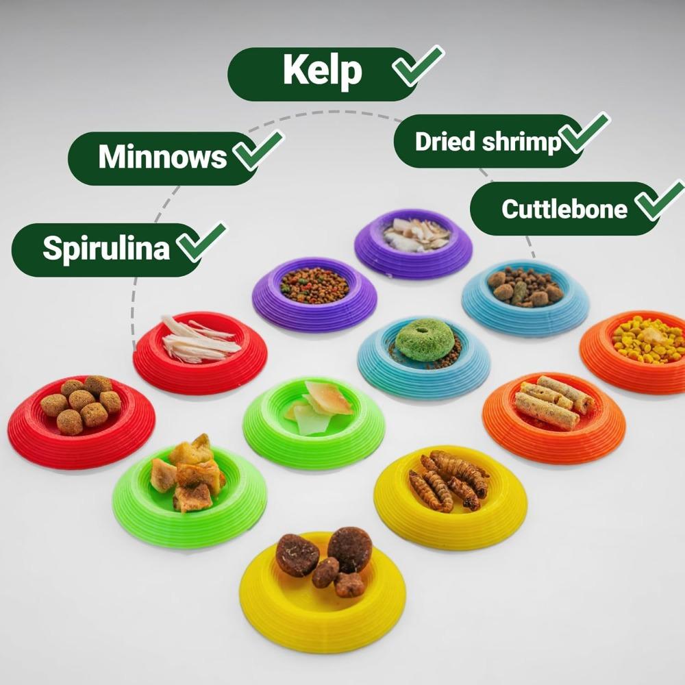 Pack of 12 Small Invertebrate Feeding Bowls Cockroach Food Bowls YYH69