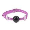 Pink Blue Silicone Ball Gag Locking   Restraints Gags