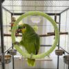 Wear-Resisting Bird Toy Swing Hanging Parrot Perch Multi-Function Parrot Swing Ring  Cockatiel