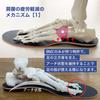 BMZ Magic Carbon Insole Sizes for Mountaineering and Hiking Ashi-Tre (Suede, 25.0-26.0)