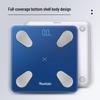 Xiangshan Smart High-Precision Body Fat Scale