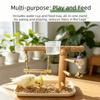 Durable Parrot Tray Rack Wooden Bird Platform Food Box Bird Feeding Station Rack  Training Tool