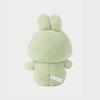LINE FRIENDS Bunini Message Plush Doll - Green Edition