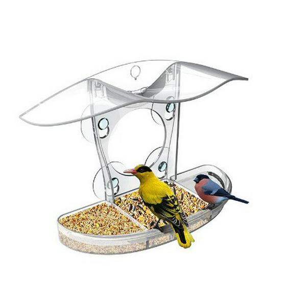 2024 Clear Acrylic Bird Feeder: Suction Cup Window Feeder for Outdoors Guangdong