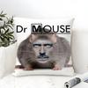 Funny house rat meme Pillow Case linen pillow case sofa home decor cushion cover cushion cove
