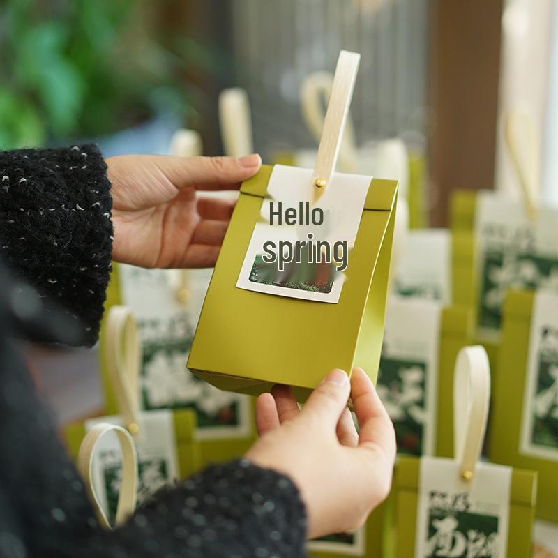 Creative Anji Bai Cha Maofeng Green Tea Hand-Painted Tea Bags - New Pre-Ming Longjing Packaging, Chinese Style.