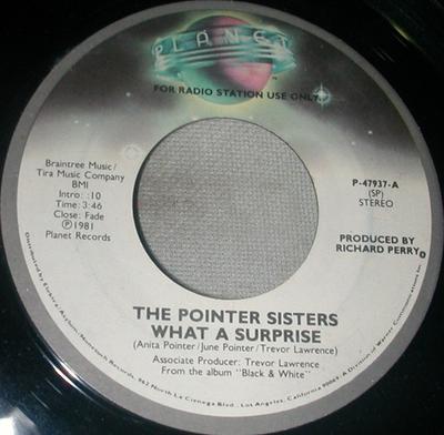 7-Zoll Schallplatte POINTER SISTERS - What A Surprise P47937 Planet 1981 US Soul/Funk Gebraucht