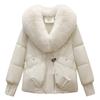 Down Cotton-padded Clothes Women's Winter New Big Fur Collar Design Bread Clothes Cotton-padded Jacket