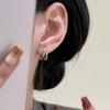 Simple Zircon Double Ring Ear Buckle Women's Earrings, New Popular High-end Stud Earrings, Light Luxury Temperament Versatile Earrings