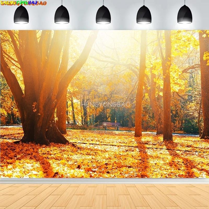 Vibrant Autumn Landscape Photography Backdrops Colorful Falling Leaves Natural Forest Blurry Sunlight Park Lake Background MO-07