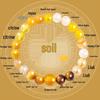 Five Elements Crystal Bracelet with Golden Rutilated Quartz, Tiger's Eye, Agate, and Citrine for Men and Women