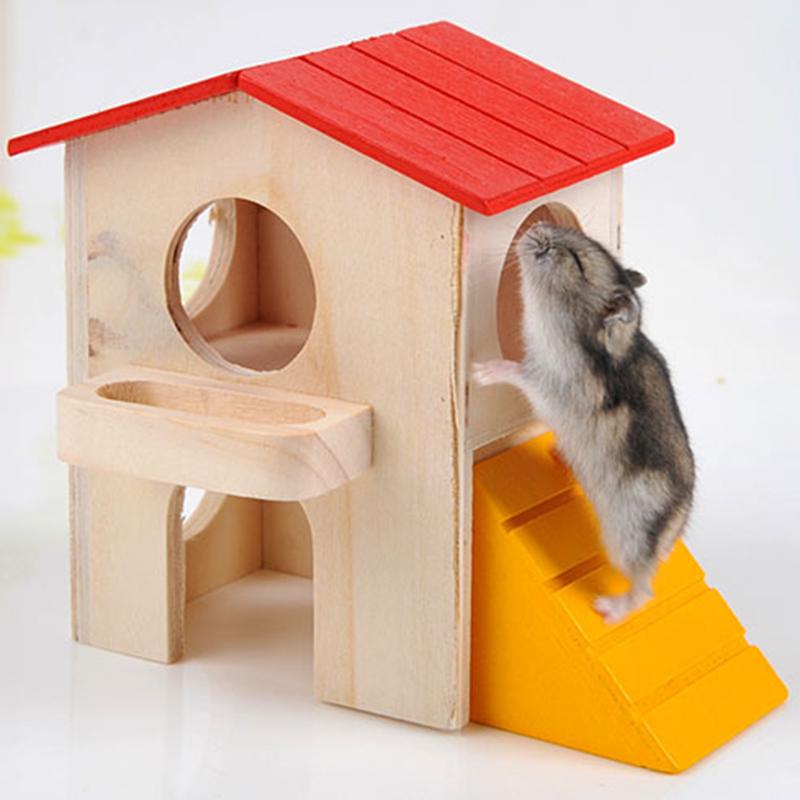 cute hamster homes