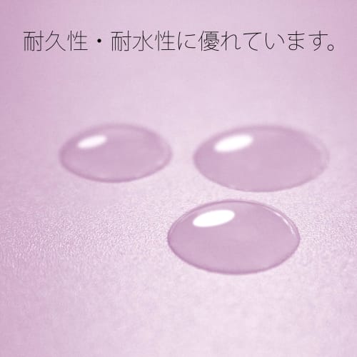 Plus PP flat file A4 vertical violet 10 books No.121P 98-292ÁE0