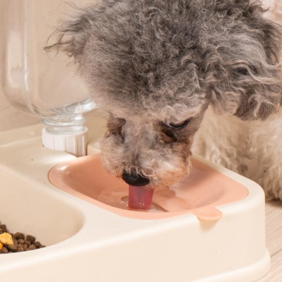 Pet Food And Water Feeder 2 In 1 Pet Feeder Bowl Automatic Water Dispenser with 500ml Bottle Detachable Pet Feeder for Cats Dogs