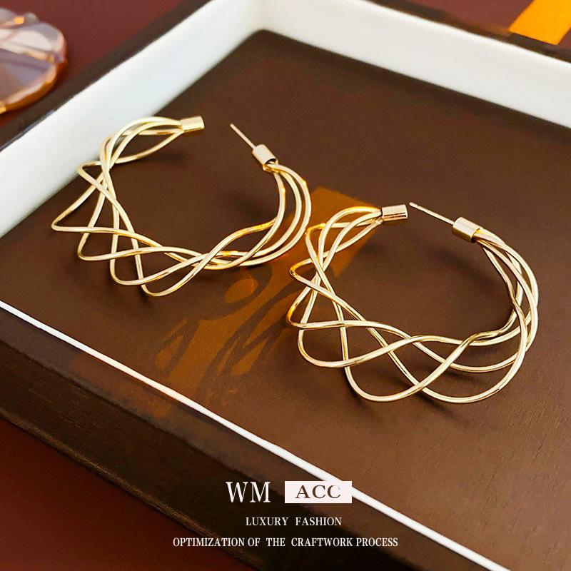 

Серебряные игольчатые витые серьги C-образной формы, европейские и американские серьги с преувеличенной индивидуальностью, металлические серьги в крутом стиле 1#