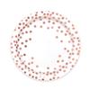 White Hot Stamping Rose Gold Polka Dot Disposable Birthday Paper Plates Set