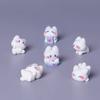 6Pcs/Set Cute Resin Cat DIY Brooch Hairpin Jewelry Handmade Accessory 2-3.2cm Model Kawaii Water Cup Resin Accessories