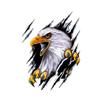 Styling Accessories Motorcycle Decal 3D Simulation Sticker Car Body Decoration Eagle Car Sticker