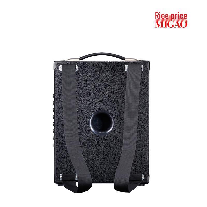 Mi Gao MG883A-LI Portable Saxophone Speaker CN plug (adapter included)