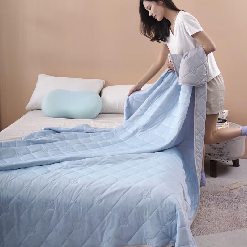 

Plover Cooling Silk Summer Quilt