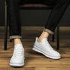 Male Shoes Classic Male Comfortable Sneakers 2024 New Arrival Outdoor Casual Shoes Luxury Brand All-match Skate Footwear Men