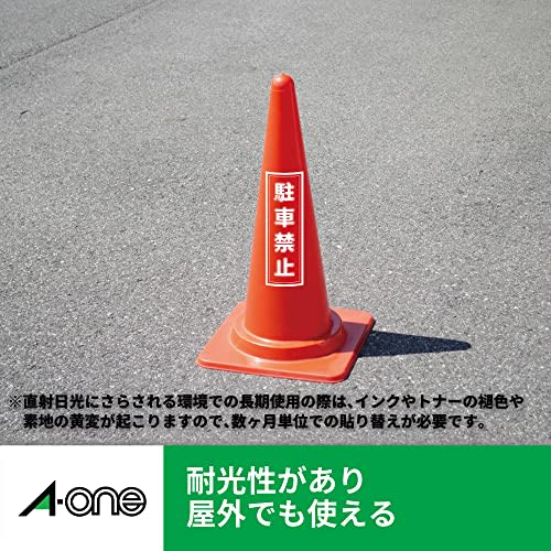 A-One Outdoor Label Laser Matte Film A4 10 Sheets 31031