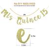 Mis Quince 15 Banner, My 15th Birthday Party Decorations, Quinceanera Decor, Feliz Cumpleanos Banner (Gold Glitter)