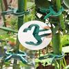 10pcs Adjustable Plant Clips - Reusable Garden Support for Flowers, Vines, Vegetables & Tomatoes - Essential Gardening Tools