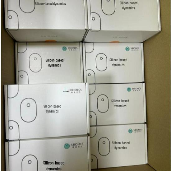 Silicon-Based Real-Time Glucose Meter: No Finger Pricking, Remote Data Sharing, 24/7 Monitoring.