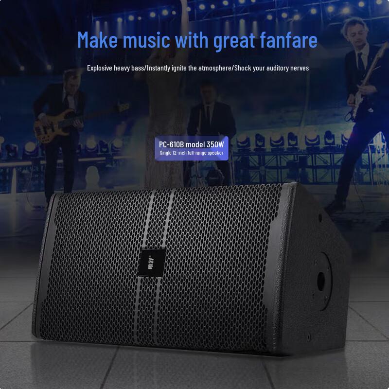 Weishu 12-inch Professional Passive Speaker