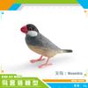Simulated Birds Birds Animals Hummingbirds Roadrunner Mockingbirds Model Static Ornament Toys