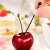 304 Stainless Steel Fruit Picks Cocktail Sticks Dessert Decoration Appetizer Skewers Party Serving Accessories with Pointed End and Round Handle