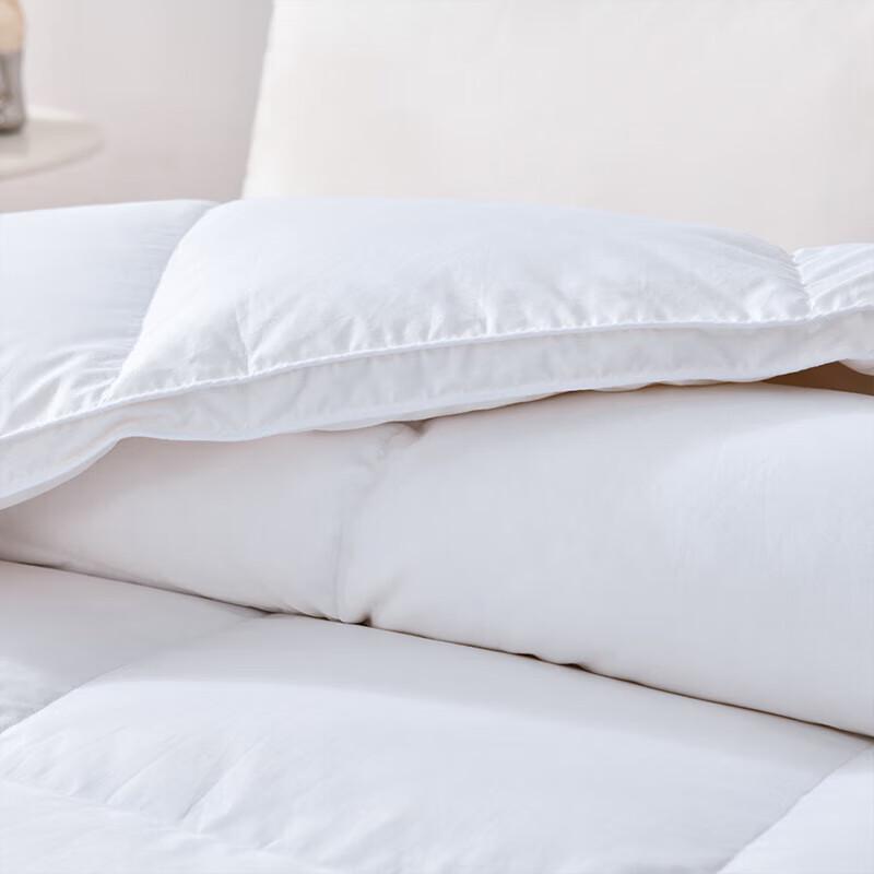 Fang'en FN-B6064 All-Season Down Comforter