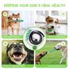 Interactive Dog Ball Toy with Rope Tether Tug of War Solo Play Bite Resistant Chew Toys Puppy Training