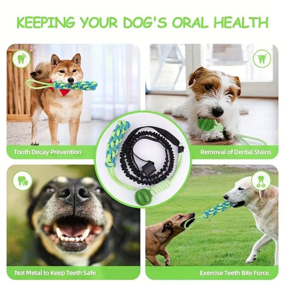 Interactive Dog Ball Toy with Rope Tether Tug of War Solo Play Bite Resistant Chew Toys Puppy Training