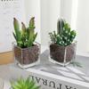 1Pcs Succulent Plant Artificial Transparent Flowerpot Fake Cactus Plant Indoor For Window Office Racks Bathroom Home Decoration