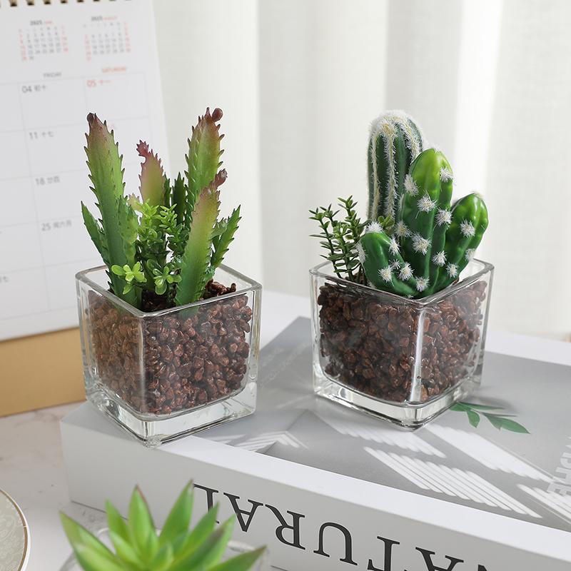 1Pcs Succulent Plant Artificial Transparent Flowerpot Fake Cactus Plant Indoor For Window Office Racks Bathroom Home Decoration
