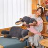 New Platypus Plush Doll Children's Creative Party Ornament Girls Sleep with Rag Doll Throw Pillow Birthday Gift
