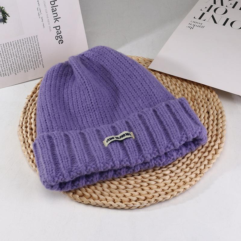 Women's Autumn and Winter New Big Head Circumference Warm Knitted Hat Korean Style Student Face Small Ear Protection Cold Hat Pile Hat