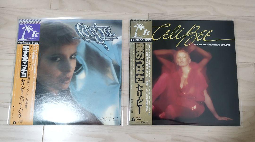

[USED] Seribee LP record set of 2
