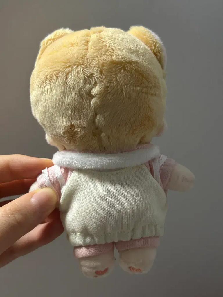 Ji Seong Ba doll (with clothes) Used