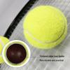 LISM Training Tennis Ball with Rope
