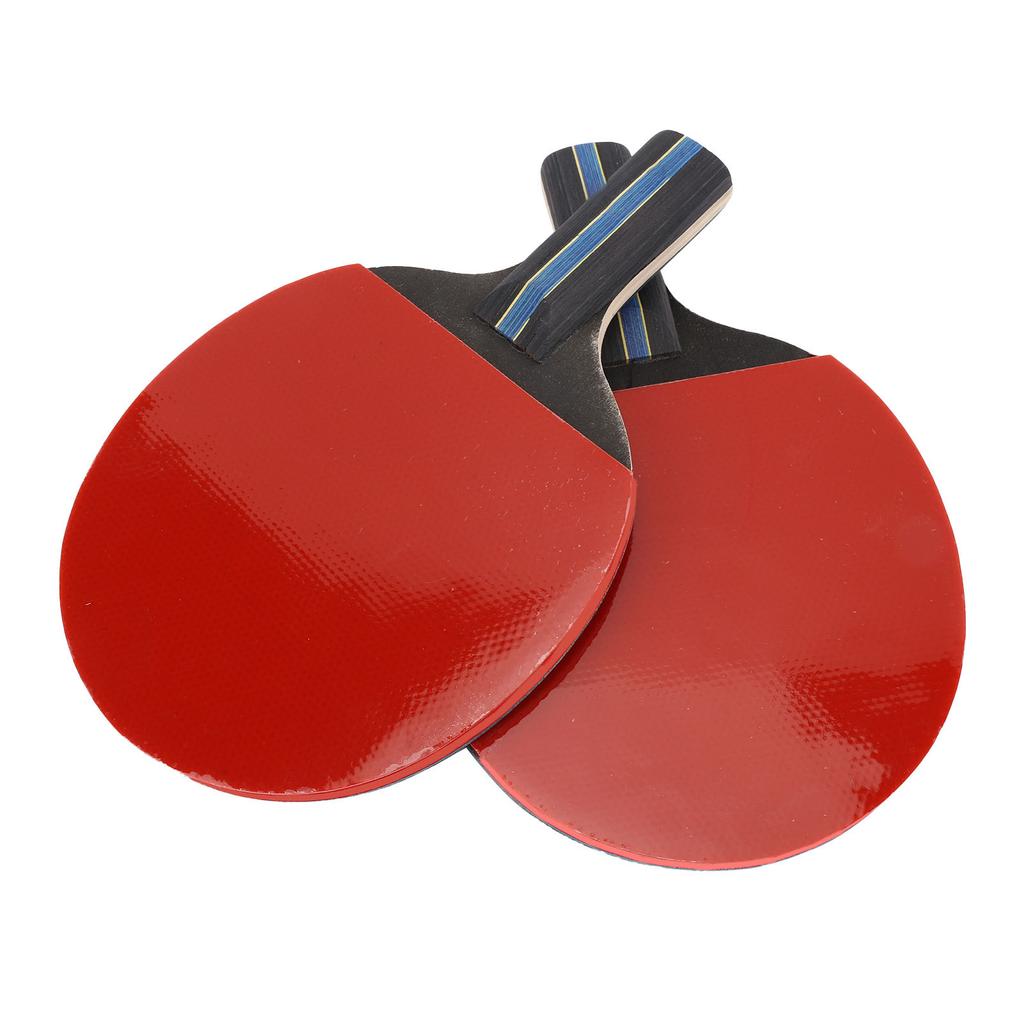 Table Tennis Paddle Set Portable Professional Table Tennis Bats with 3 Balls Storage Bag for Indoor