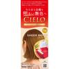 Ciero Haarfarbe Ex Creme 1sb Sheer Varge